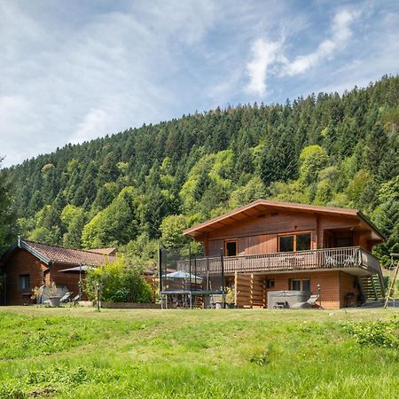 Chalets Du Bouchot & Jacuzzi Privatif Proximite Gerardmer & La Bresse Rochesson Екстер'єр фото